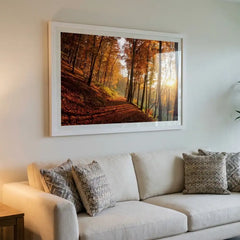 Golden Autumn Path - Sunlit Forest Scenery (Premium Glass Frame)