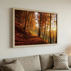Golden Autumn Path - Sunlit Forest Scenery (Premium Glass Frame)