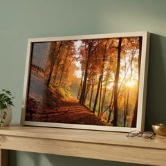 Golden Autumn Path - Sunlit Forest Scenery (Premium Glass Frame)