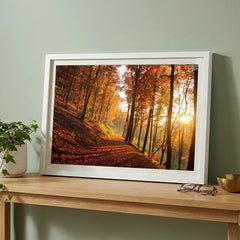 Golden Autumn Path - Sunlit Forest Scenery (Premium Glass Frame)
