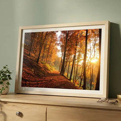 Golden Autumn Path - Sunlit Forest Scenery (Premium Glass Frame)