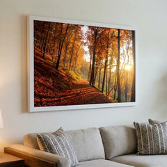 Golden Autumn Path - Sunlit Forest Scenery (Premium Glass Frame)