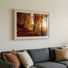 Golden Autumn Path - Sunlit Forest Scenery (Premium Glass Frame)